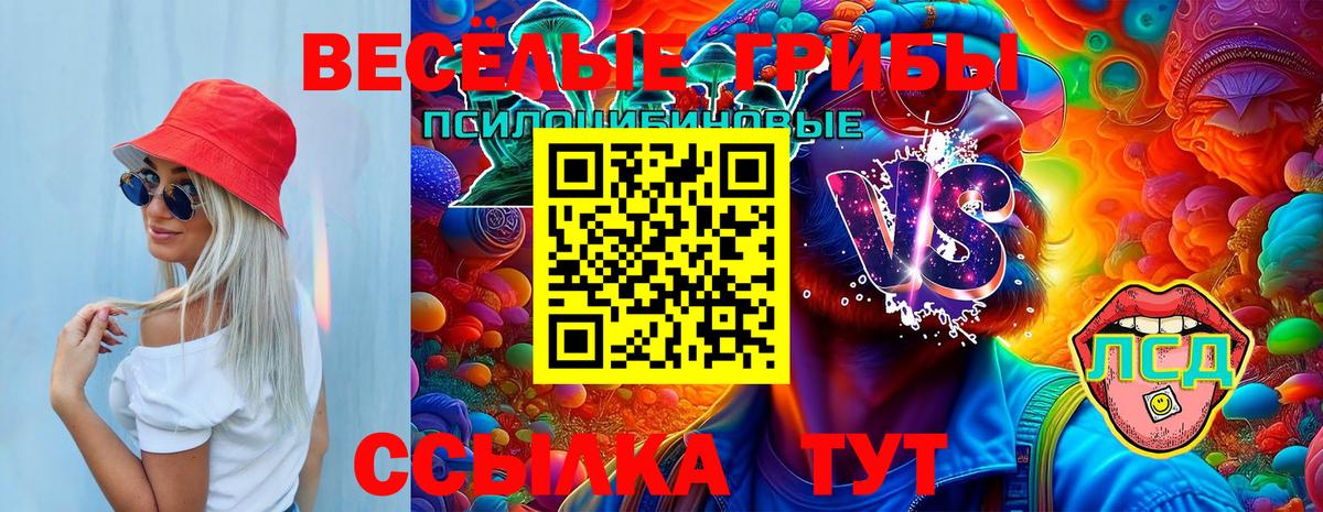 Псилоцибиновые грибы Cubensis  Вход с VPN  что такое   Нововоронеж 