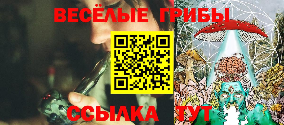 Галлюциногенные грибы прущие грибы Нововоронеж