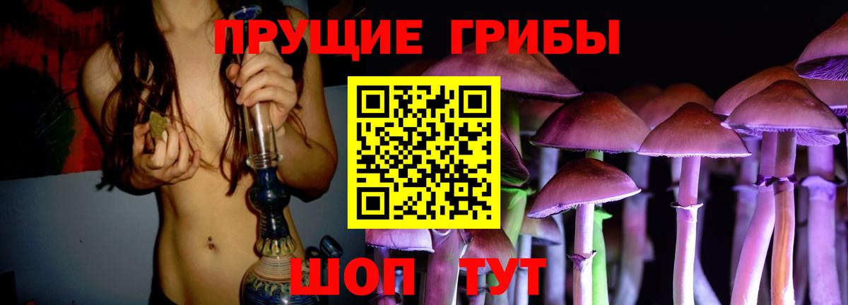 наркотики  Нововоронеж  Галлюциногенные грибы Psilocybine cubensis  Псилоцибиновые грибы Magic Shrooms 